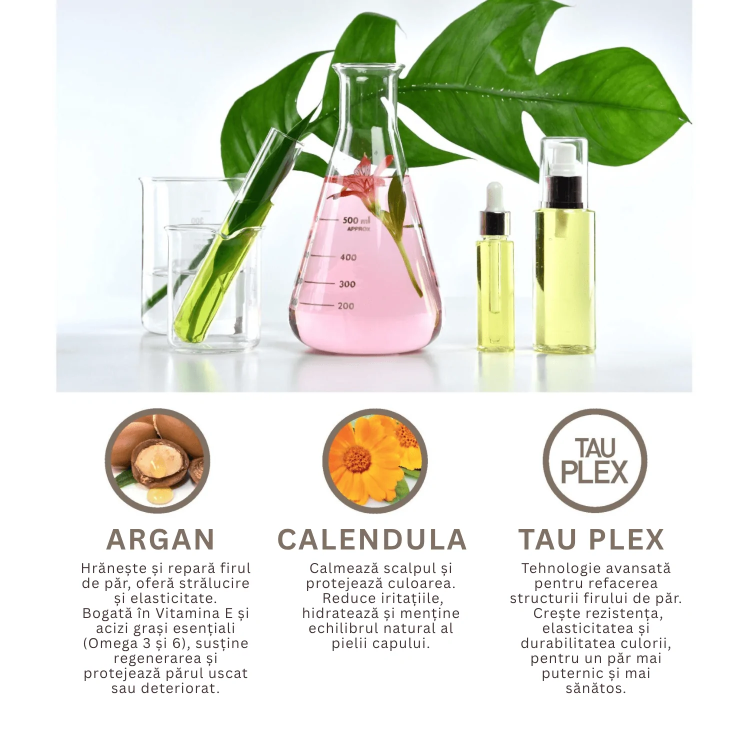 Vopsea de Păr fără Amoniac cu Acoperire Totală 21Perfect Zero 120 ml - imagine 2