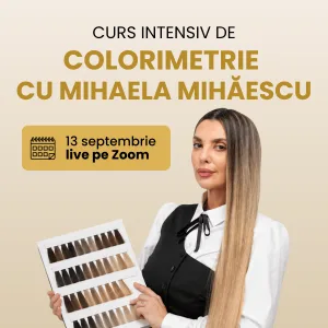 Curs Online De Colorimetrie Cu Mihaela Mihaescu, Format Intensiv De 1 Zi (Avans 50%)